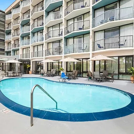 Best Western Yacht Harbor Hotel 